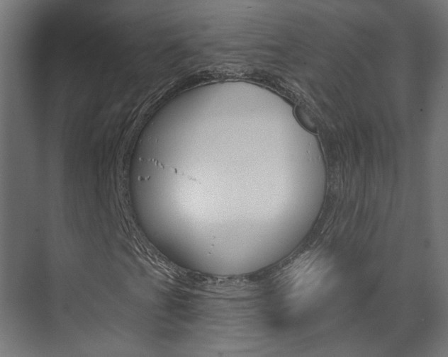 X0000074321201200608251021