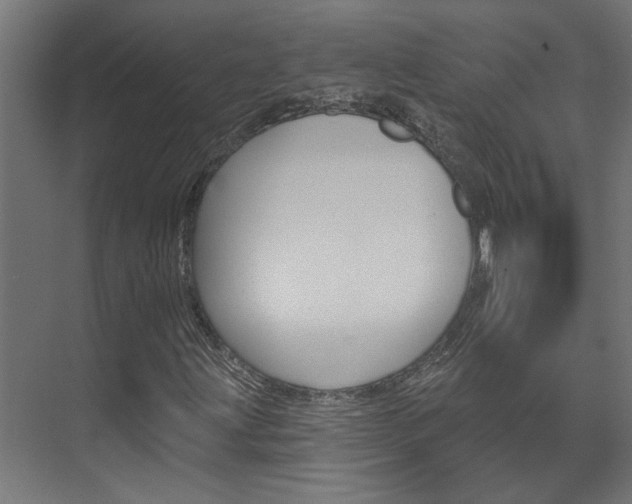X0000074321203200608251021