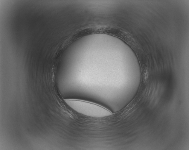 X0000074321204200608251022
