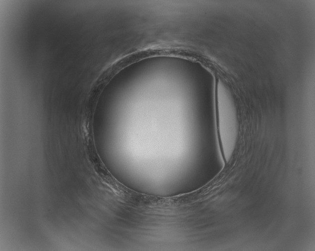 X0000074321206200608251022