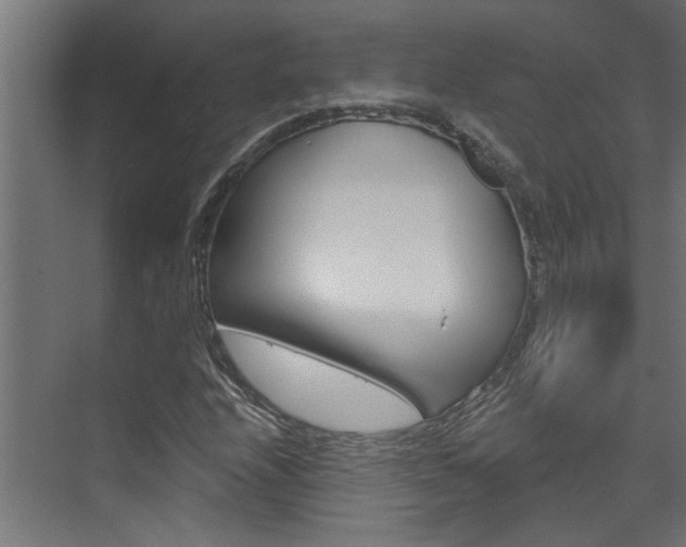 X0000074321208200608251022