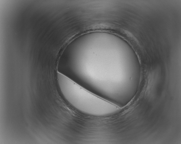 X0000074321217200608251022