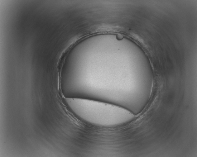 X0000074321219200608251022