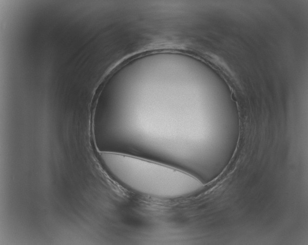 X0000074321220200608251022
