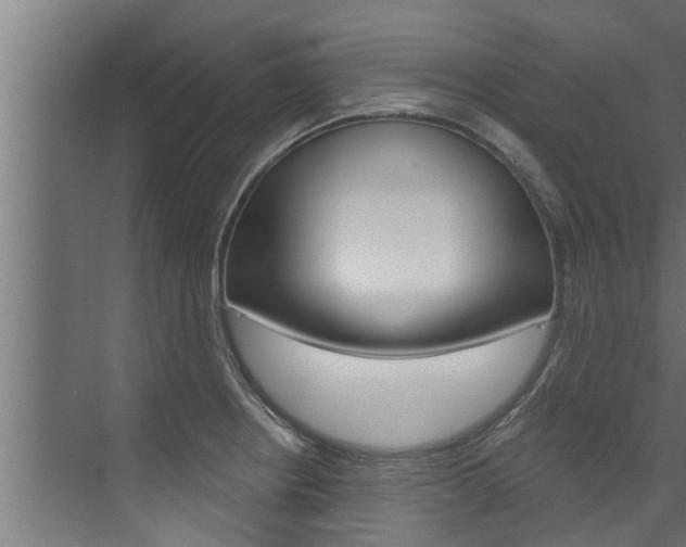 X0000074321234200608251022