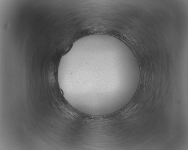 X0000074321250200608251021