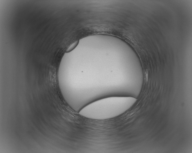 X0000074321251200608251021
