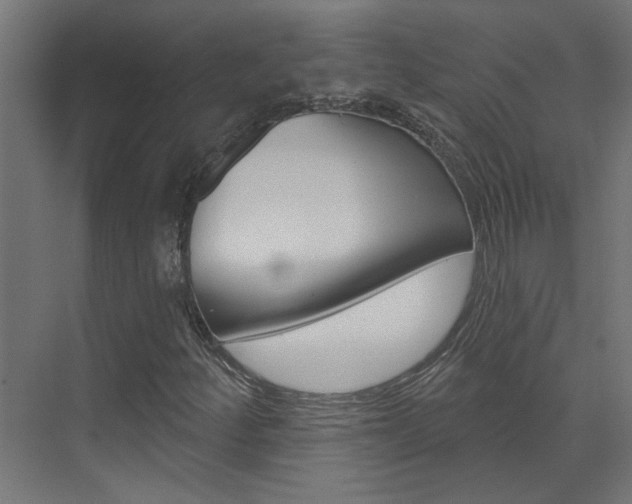 X0000074321252200608251021