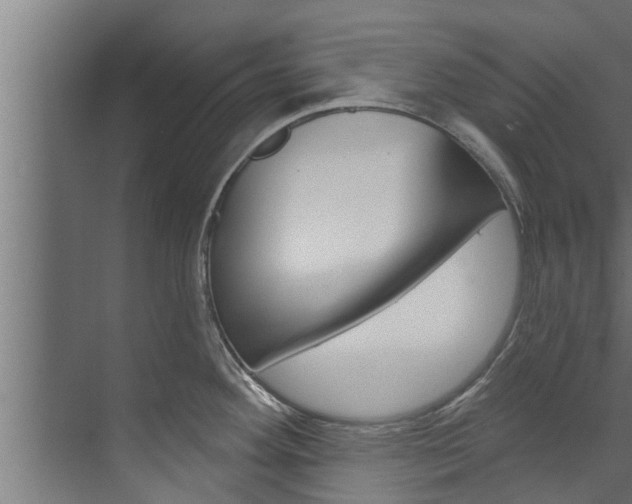 X0000074321292200608251021