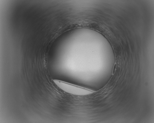 X0000074321298200608251020
