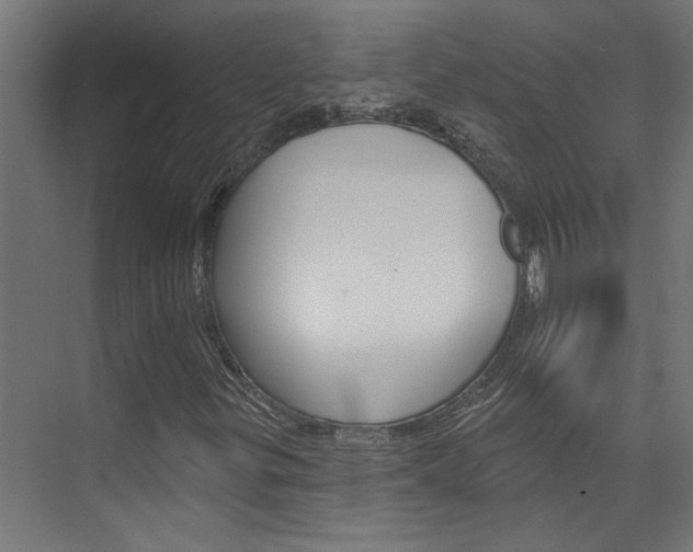 X0000074321299200608251020