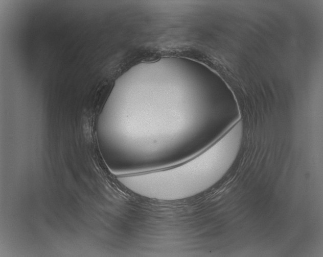 X0000074321300200608251020