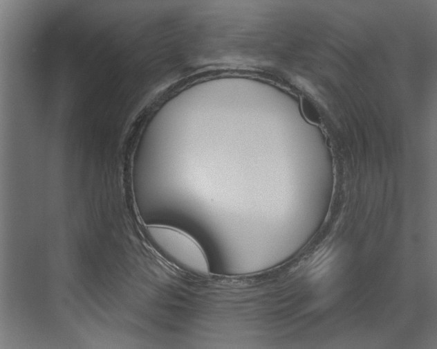 X0000074321307200608251020