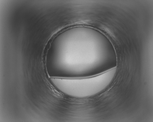 X0000074321308200608251020