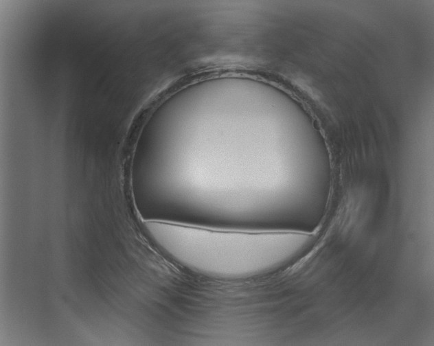 X0000074321309200608251020