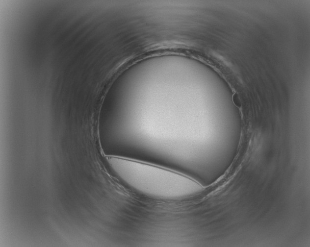 X0000074321313200608251020