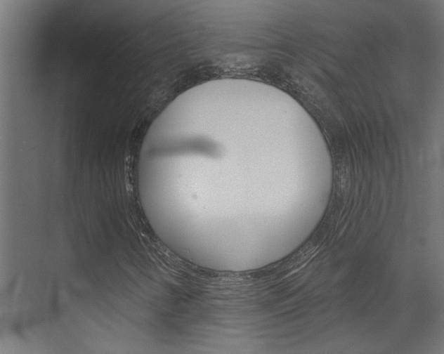 X0000074321346200608251020