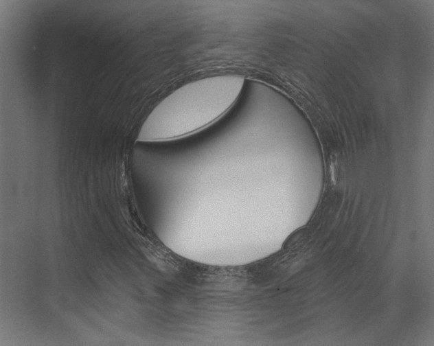X0000074321347200608251020