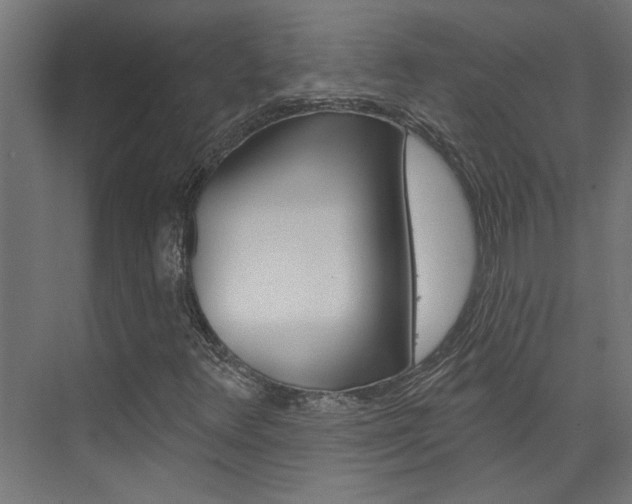 X0000074321348200608251020