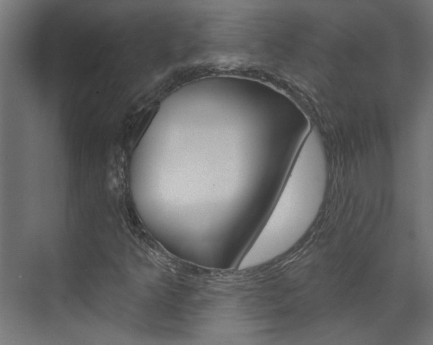 X0000074321349200608251020