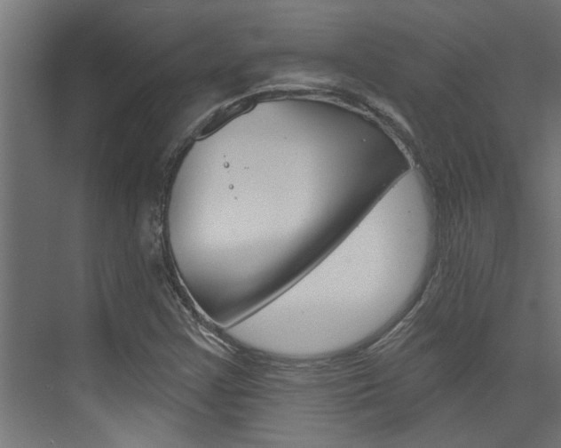 X0000074321355200608251020