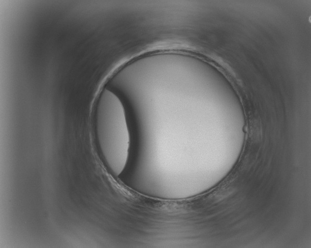X0000074321366200608251019