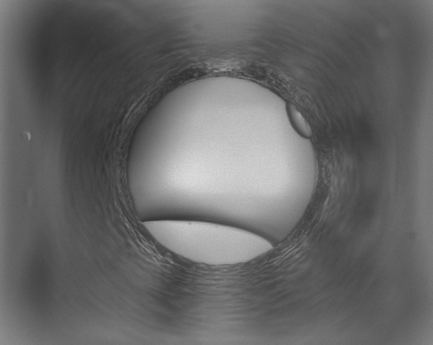 X0000074321393200608251018