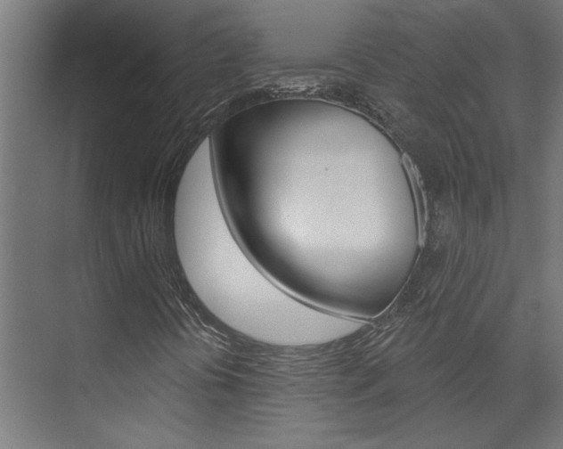 X0000074321394200608251018