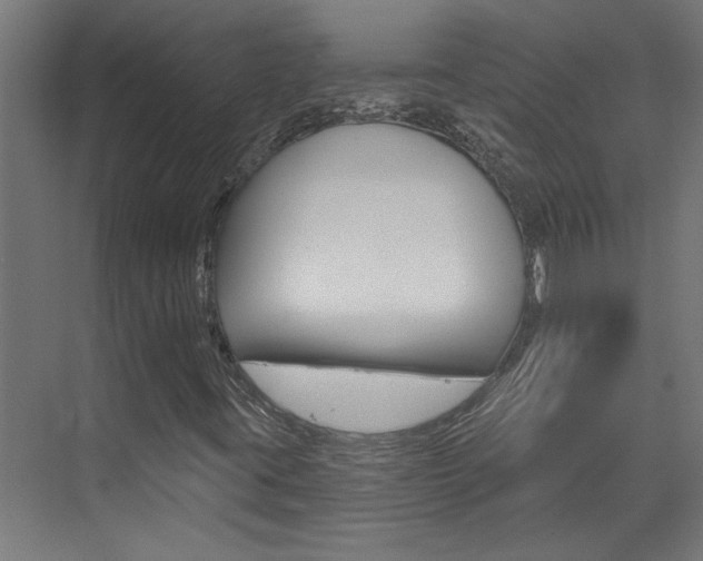 X0000074321395200608251018