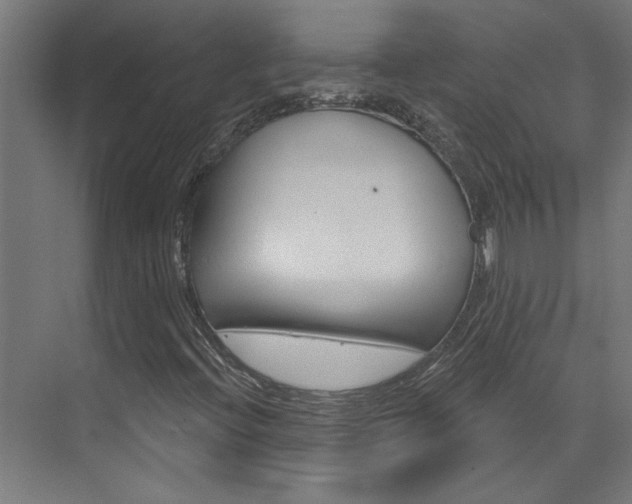 X0000074321396200608251018