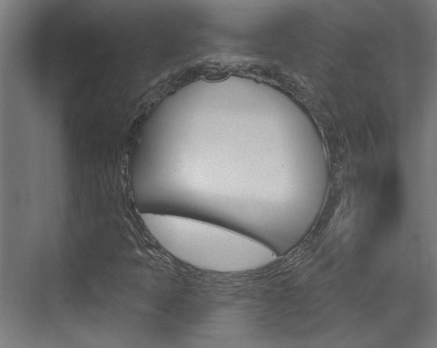 X0000074321397200608251018