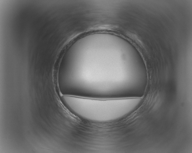 X0000074321404200608251018