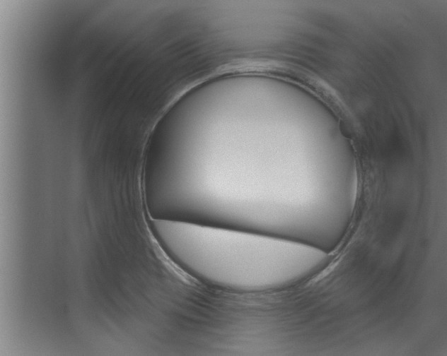 X0000074321417200608251019