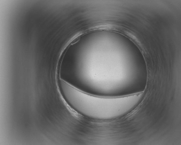 X0000074321426200608251019