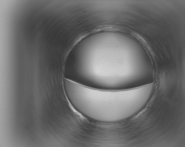 X0000074321433200608251019