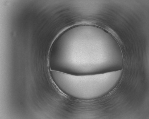 X0000074321436200608251019