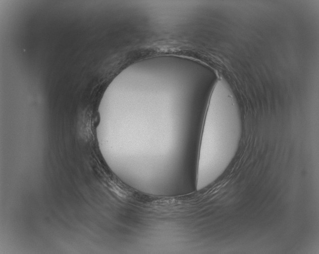 X0000074321444200608251018