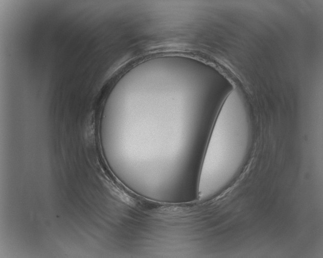 X0000074321450200608251018