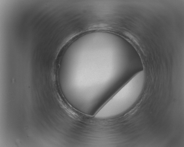 X0000074321458200608251018