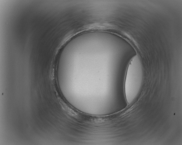 X0000074321459200608251018