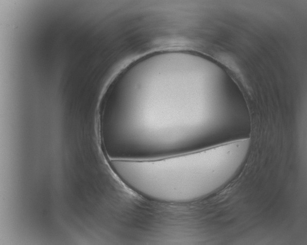 X0000074321472200608251018
