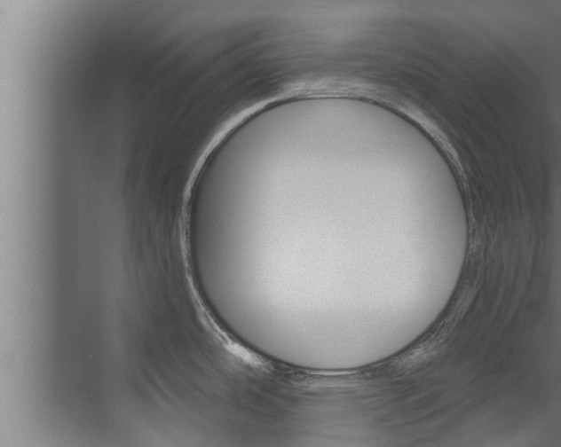 X0000074321486200608251017