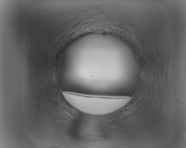 X0000074321490200608251017