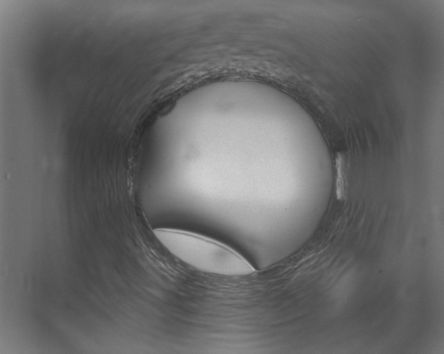 X0000074321491200608251017