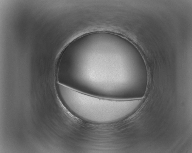 X0000074321500200608251017