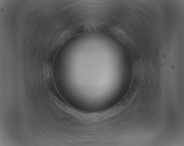 X0000074320038200608251312