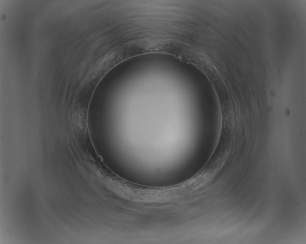 X0000074320044200608251312