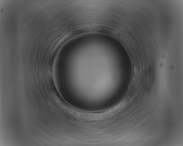 X0000074320048200608251311
