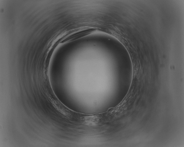 X0000074320050200608251311