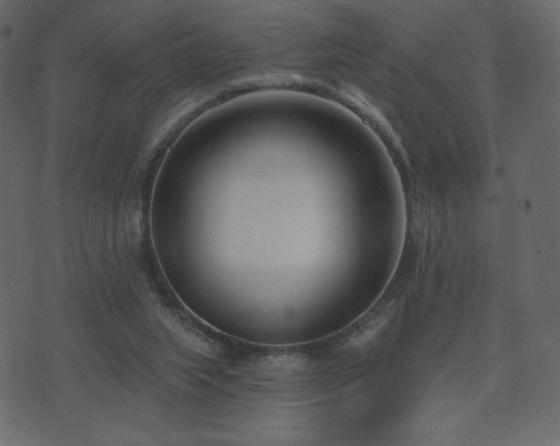X0000074320063200608251311
